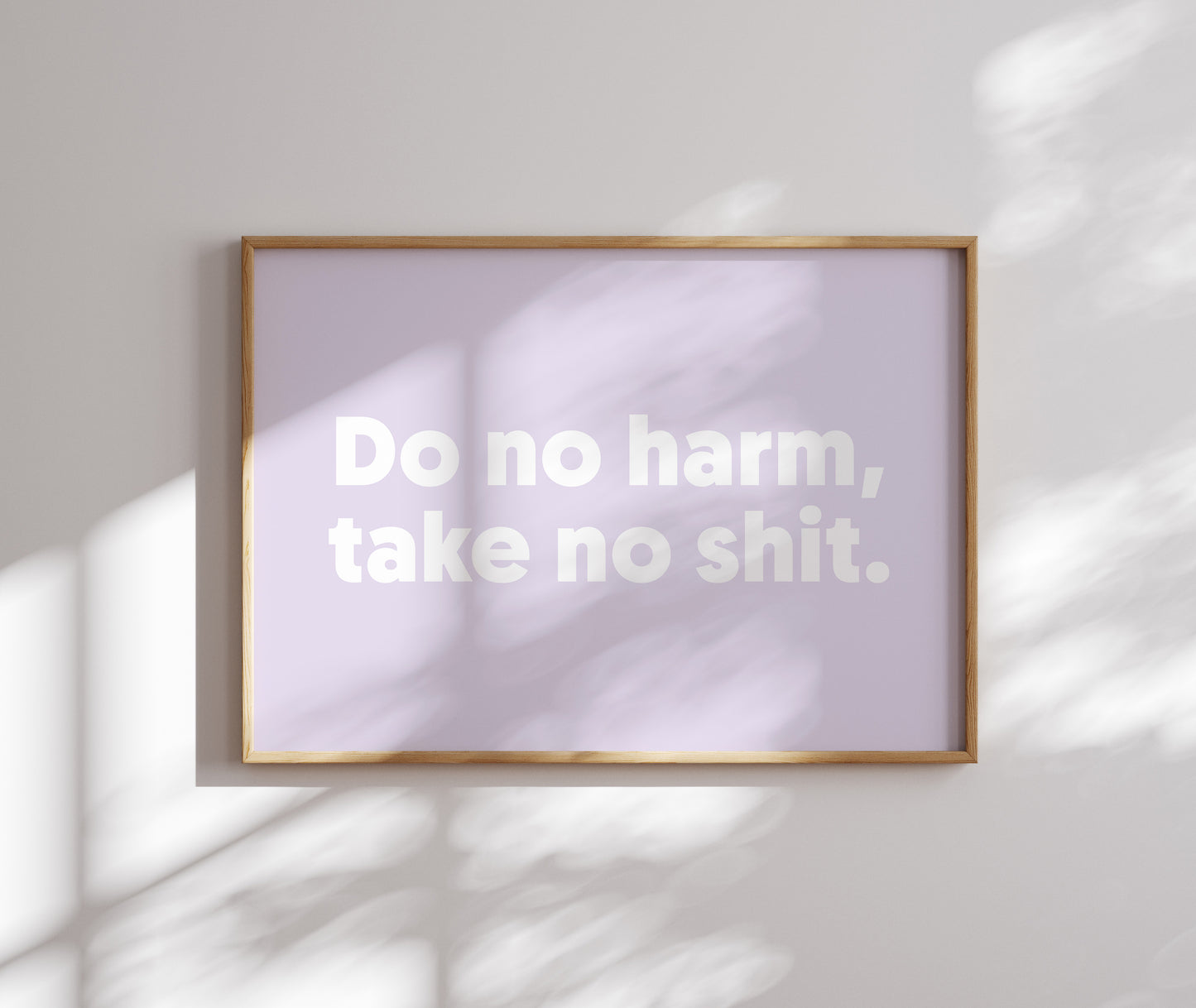 Framed 'Do No Harm, Take No Shit' motivational wall art in hanging on wall.